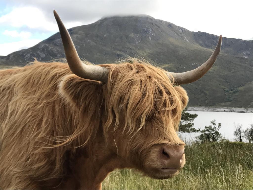 Caledonian Cabin Інвергаррі Екстер'єр фото
